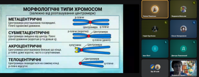 Снимок экрана 865